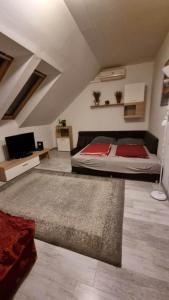 Csodaszép 5600 Békéscsaba, Andrássy út 51 kép - 2