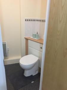 uma casa de banho com um WC branco e um lavatório. em Basingstoke by train station em Basingstoke