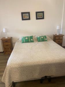 Postel nebo postele na pokoji v ubytování departamento centrico y moderno