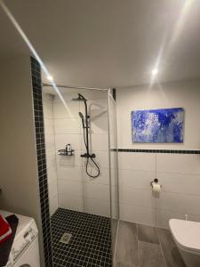 a bathroom with a shower and a sink at Wohnung Rhein-Wald-und Weitsicht in Rengsdorf
