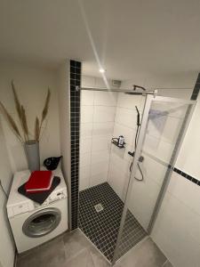 y baño con ducha y lavadora. en Wohnung Rhein-Wald-und Weitsicht en Rengsdorf