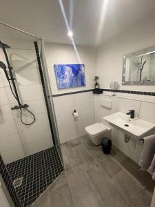 a bathroom with a shower and a toilet and a sink at Wohnung Rhein-Wald-und Weitsicht in Rengsdorf
