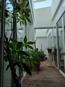 a corridor with potted plants in a building at Le loft in Nice