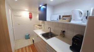 a small kitchen with a sink and a counter at Alfama Home in Lisbon +16 photos