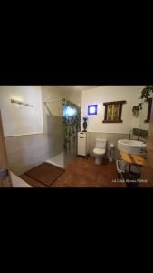 a bathroom with a shower and a toilet and a sink at La Casa de mis Padres in Rabanales