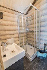 a bathroom with a shower and a sink at Naali Mökki in Kilpisjärvi