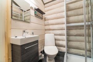 een badkamer met een toilet en een wastafel bij Naali Mökki in Kilpisjärvi