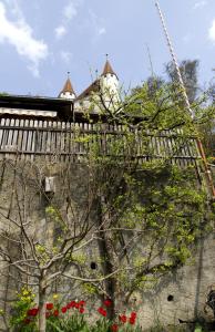 Zahrada ubytování Hotel Restaurant Schwert Thun