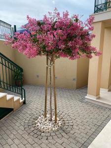 Ein Garten an der Unterkunft Vila Mimoza