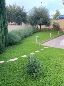 Ein Garten an der Unterkunft Vila Mimoza