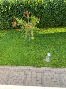 Ein Garten an der Unterkunft Vila Mimoza