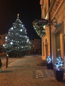 Fotografie z fotogalerie ubytování Hotel Vacek Pod Věží v destinaci Hradec Králové
