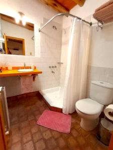 a bathroom with a toilet and a shower and a sink at Aires de Coria in Chacras de Coria
