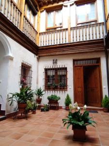 a courtyard with potted plants in a building at Narciso Tomé en San justo 4 in Toledo