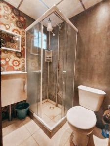 y baño con ducha y aseo. en Albergue Cultural Hostel, en Río de Janeiro