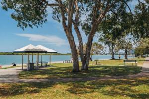 a park with benches and a tree next to the water at Waterfront Apt Maroochy River in Maroochydore
