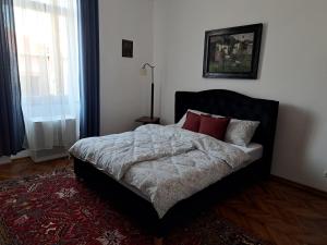 Un dormitorio con una cama con almohadas rojas. en Weisz Apartment - Free Private Parking,Wifi,Hot Drinks en Carei