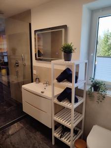 a bathroom with a white sink and a shower at Kutscherhaus in Nagel