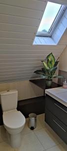 Koupelna v ubytování Chambre d'hôtes de la tulipe