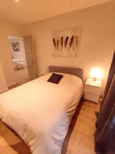 a bedroom with a white bed with a pillow on it at Appartement hyper centre in Lons-le-Saunier