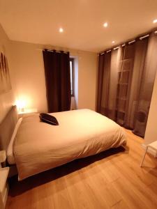 a bedroom with a large white bed in a room at Appartement hyper centre in Lons-le-Saunier