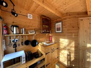 a kitchen with a sink and a microwave in a cabin at The Bee Hive Garden Room in Dorchester