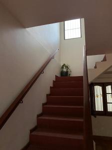 Una escalera en una casa con una ventana y una planta en Luminoso departamento en Planta Alta en Formosa
