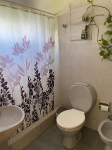 a bathroom with a toilet and a sink and a shower curtain at Luminoso departamento en Planta Alta in Formosa