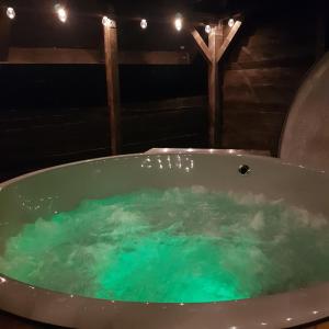 a bath tub filled with green water in a room at Osada nad Potokiem in Szczyrk