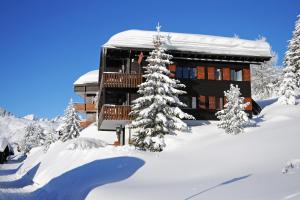 eine Blockhütte im Schnee mit schneebedeckten Bäumen in der Unterkunft Rübezahl | Dachgeschoss in Riederalp