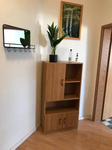 a wooden cabinet with a potted plant in a room at Monteurwohnung in Leipzig in Leipzig
