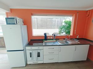 Kuhinja ili čajna kuhinja u objektu Joli studio le Caribbean Tropical