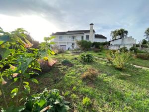 une grande maison blanche dans une cour ornée de plantes dans l'établissement Casa da Rosa, à Carvalheira Grande