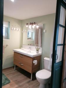 La salle de bains est pourvue de toilettes, d'un lavabo et d'un miroir. dans l'établissement Studio pour 2, à Montain