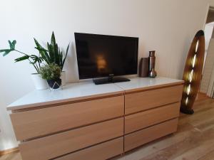TV a/nebo společenská místnost v ubytování Apartman guru 3 Szeged