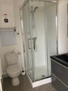 ein Bad mit einer Dusche und einem WC in der Unterkunft 99 BIS FP in Limoges