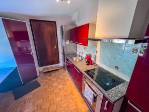a kitchen with a stove and a counter top at Marta's Place in Nova Gorica