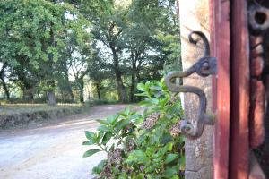 Fotografie z fotogalerie ubytování A Pena de Augasantas v destinaci Oca de Abaixo