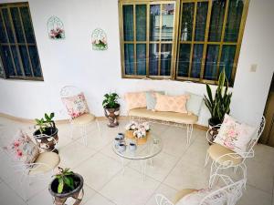 uma sala de estar com cadeiras, mesas e plantas em Freijoó Casa Vintage em Papantla de Olarte