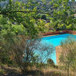 een zwembad in het midden van enkele bomen bij Entre mer et montagne in Le Boulou