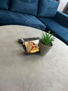 a coffee table with snacks and a potted plant on it at Crystal Apartments Old Town Sarajevo in Sarajevo