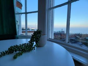 una pianta seduta su un tavolo di fronte a una finestra di SeaView ground floor flat fast WiFi & FREE PARKING a Scarborough