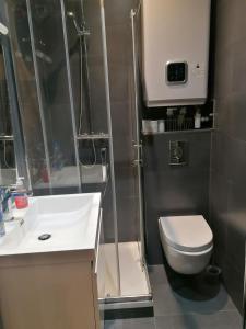 a small bathroom with a toilet and a sink at A la Tour des Rohan in Strasbourg