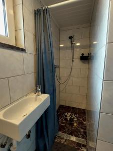 カラントスウオーフにあるZwaan's Placeのバスルーム(シンク、シャワー、シャワーカーテン付)