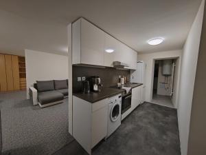 una cucina con lavatrice e asciugatrice in camera di Apartments Merci a Ostrava