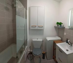 uma casa de banho com um chuveiro, um WC e um lavatório. em Cosy appartement avec vue sur Genève em Collonges-sous-Salève