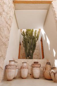 Afbeelding uit fotogalerij van Pure House Marrakech in Marrakesh +38 foto's