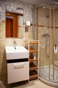 La salle de bains est pourvue d'un lavabo et d'une douche. dans l'établissement Mi Casita Olmedo, à Olmedo