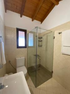 uma casa de banho com um WC e uma cabina de duche em vidro. em Hera Loft em Iraion