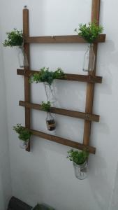 a group of potted plants on a wall at Hospedaria Ilhéus 03 in Ilhéus